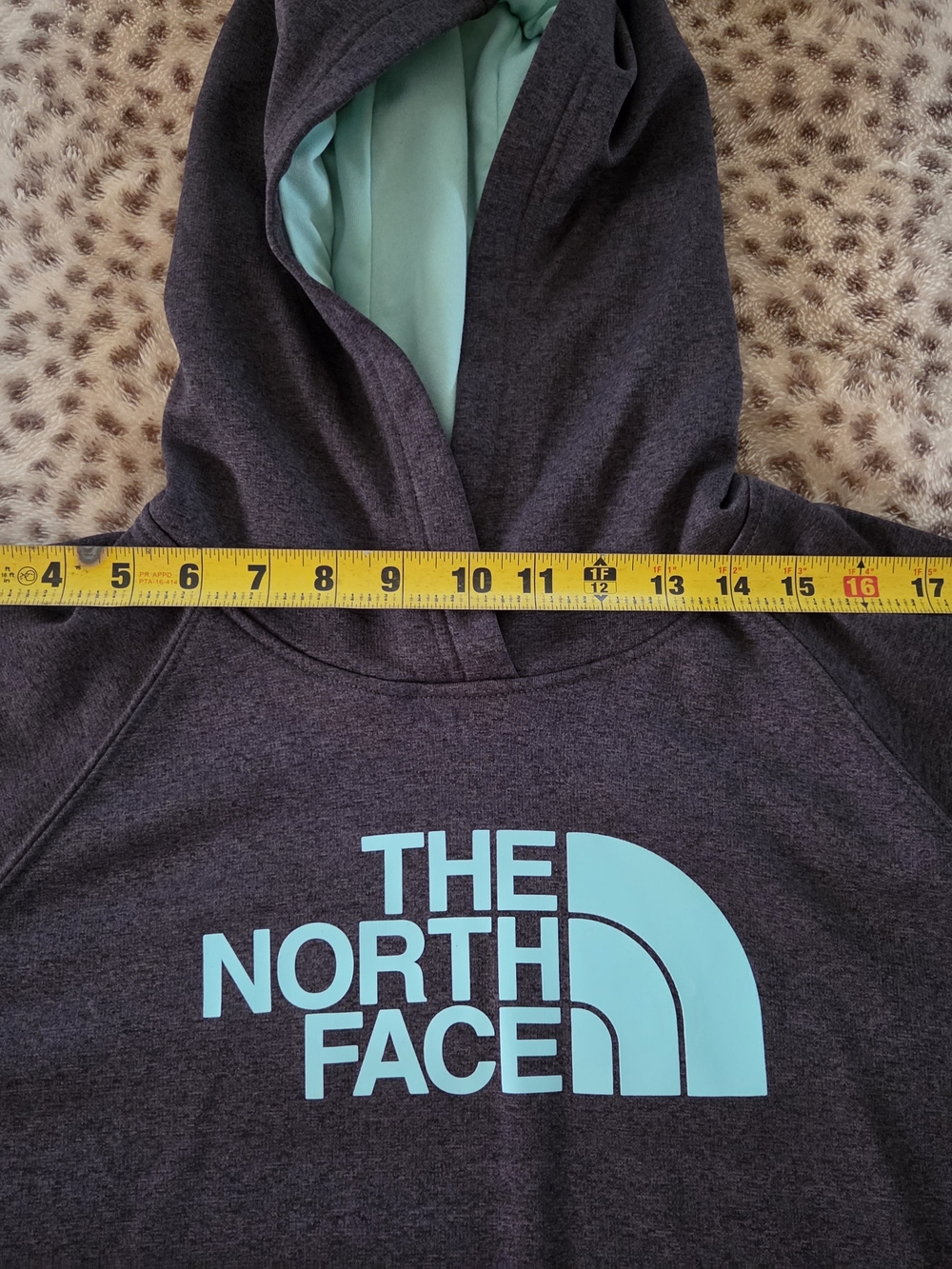 The North Face Charcoal Hoodie with Aqua Logo - Picture 3 of 10